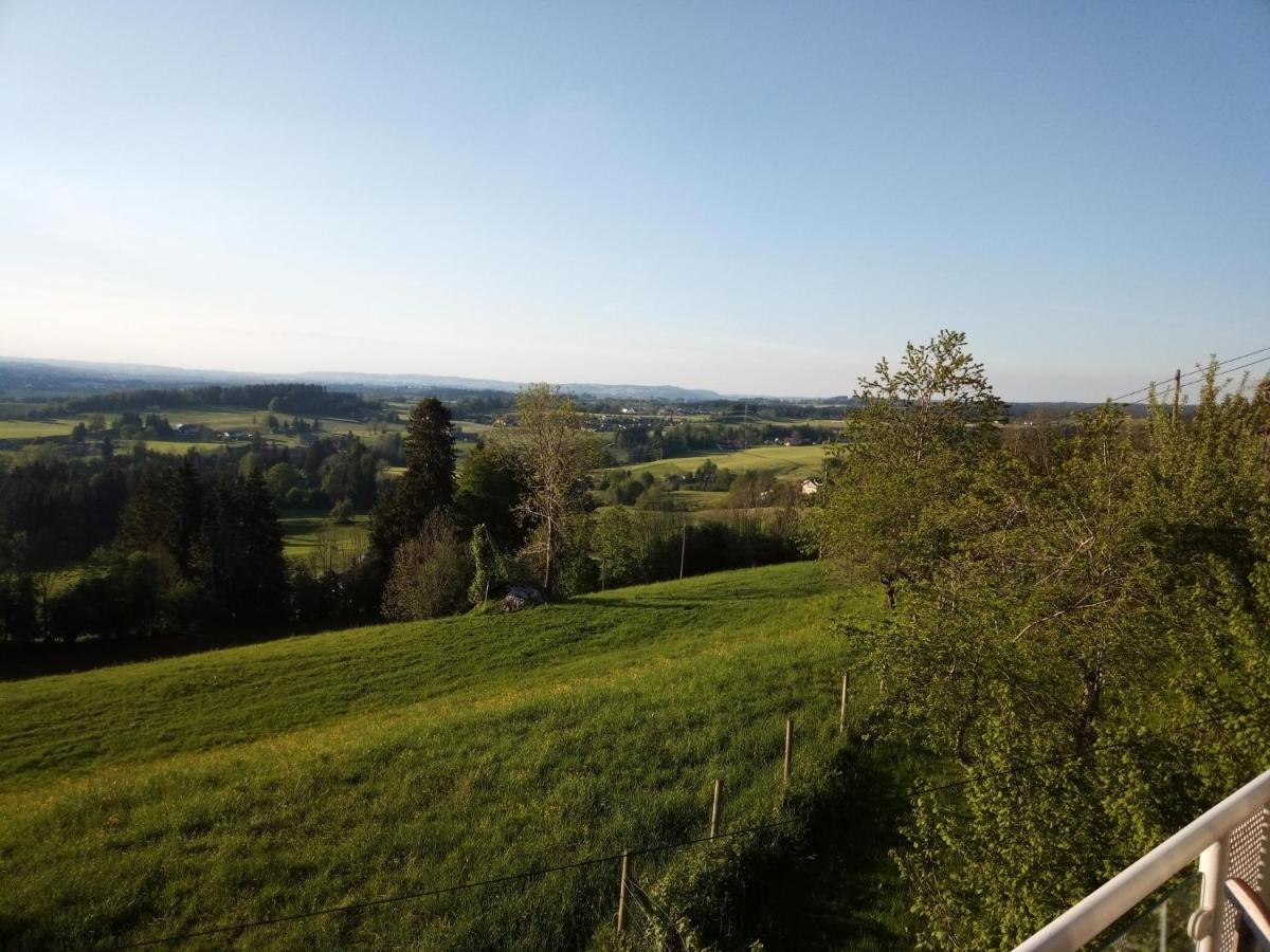 Vila Ferienhaus Eulenhof Sulzberg Exteriér fotografie